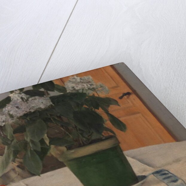 Hortensia, 1884 by Fernand Khnopff