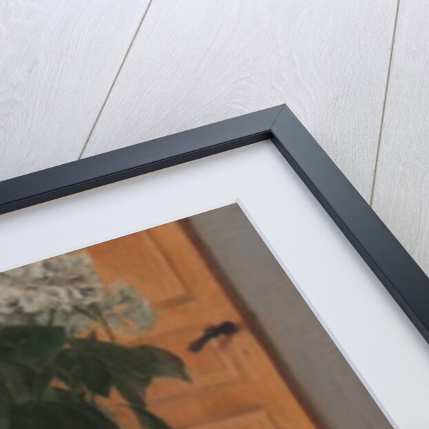 Hortensia, 1884 by Fernand Khnopff