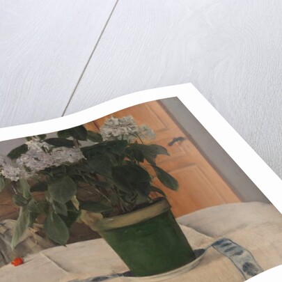 Hortensia, 1884 by Fernand Khnopff