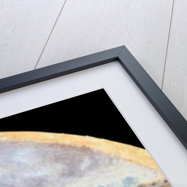 Fan Mount: The Cabbage Gatherers, c.1878-79 by Camille Pissarro