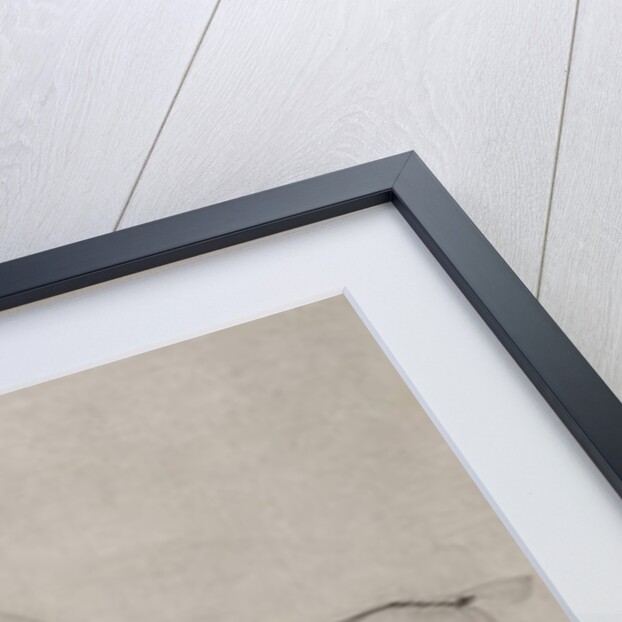 A Syce Holding Two Carriage Horses, c.1845 by Shaik Muhammad Amir of Karraya