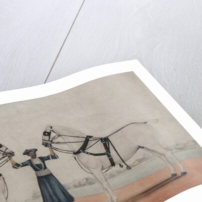 A Syce Holding Two Carriage Horses, c.1845 by Shaik Muhammad Amir of Karraya