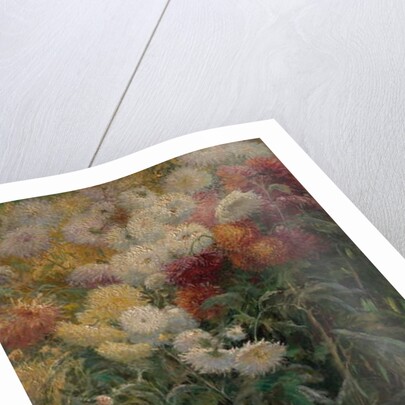 Chrysanthemums in the Garden at Petit-Gennevilliers, 1893 by Gustave Caillebotte