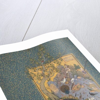 The Concourse of the Birds, c.1600 by Persian School