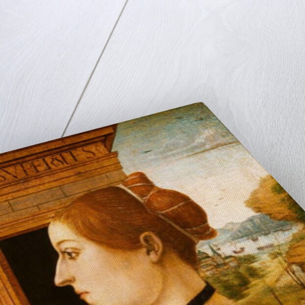 Portrait of a Woman, c.1494 by School Italian