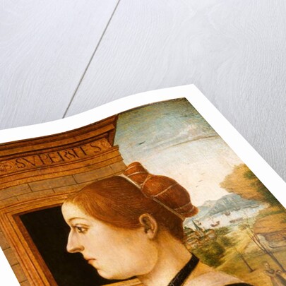 Portrait of a Woman, c.1494 by School Italian