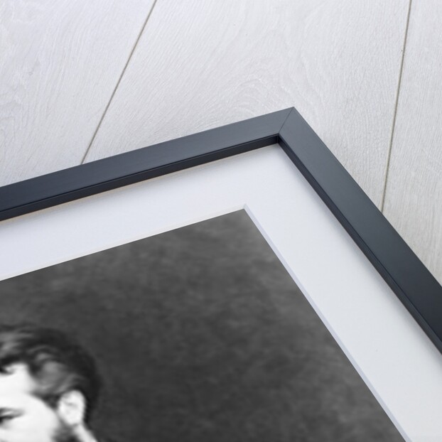 Alexander Graham Bell, 1882 by Timoleon Marie Lobrichon