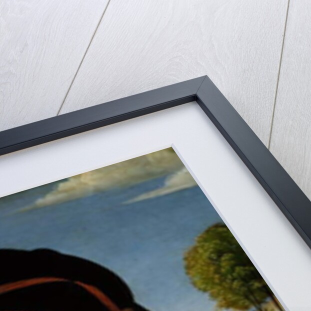 Federigo Gonzaga, 1510 by Il (1450-1517) Francia