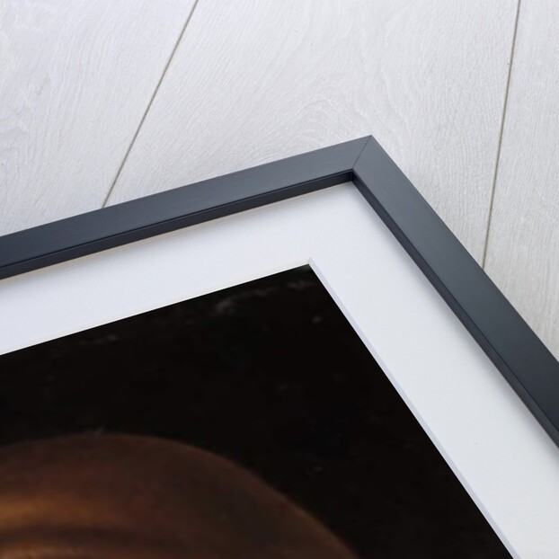 Portrait of a Young Man, c.1480 by Jacometto (attr. to) Veneziano