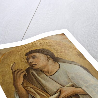 An Apostle, c.1471-73 by Carlo Crivelli