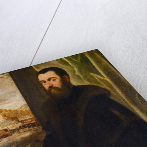 Portrait of a Venetian Senator, c.1570 by Jacopo Robusti Tintoretto