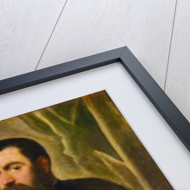 Portrait of a Venetian Senator, c.1570 by Jacopo Robusti Tintoretto