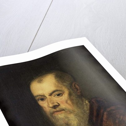 Portrait of a Man with a Red Cloak, 1555-80 by Jacopo Robusti Tintoretto