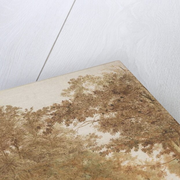 Trail through a forest, c.1638-42 by Cornelis Vroom