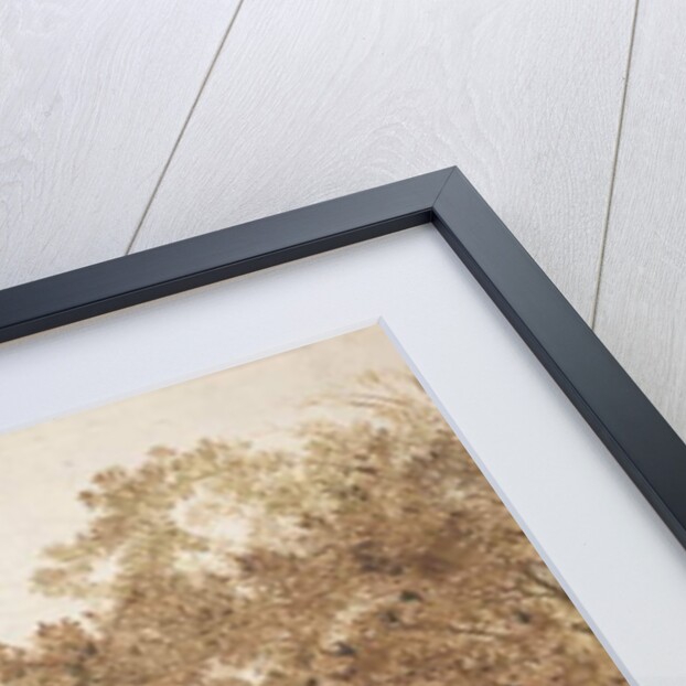 Trail through a forest, c.1638-42 by Cornelis Vroom