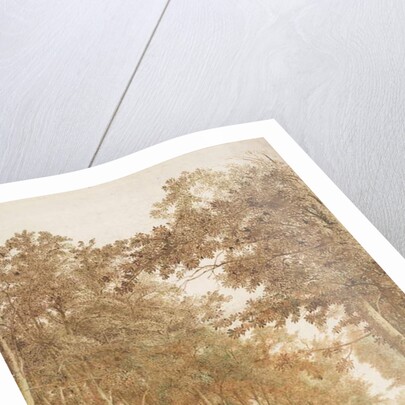 Trail through a forest, c.1638-42 by Cornelis Vroom