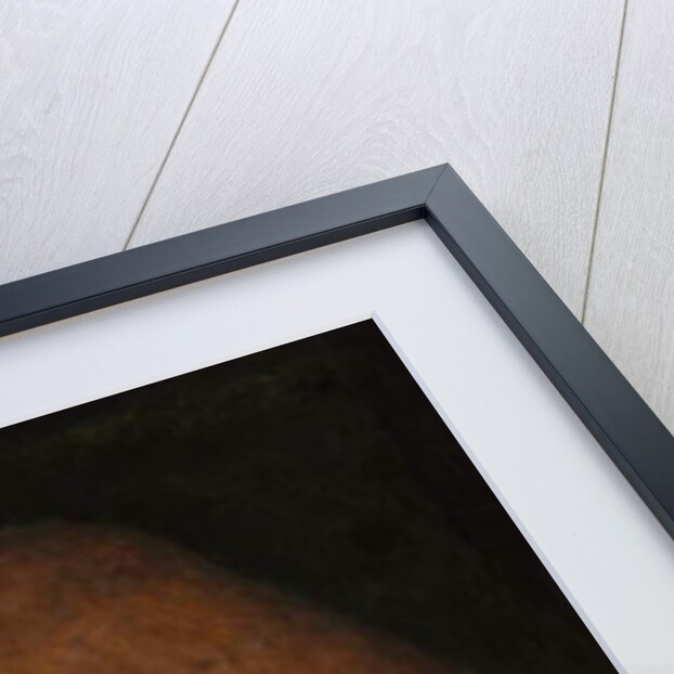 Portrait of Diego de Guevara, 1515-18 by Michiel Sittow