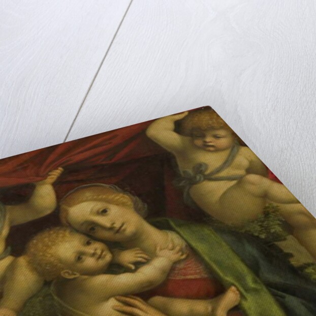 Madonna and Child, 1525-35 by Gaudenzio Ferrari