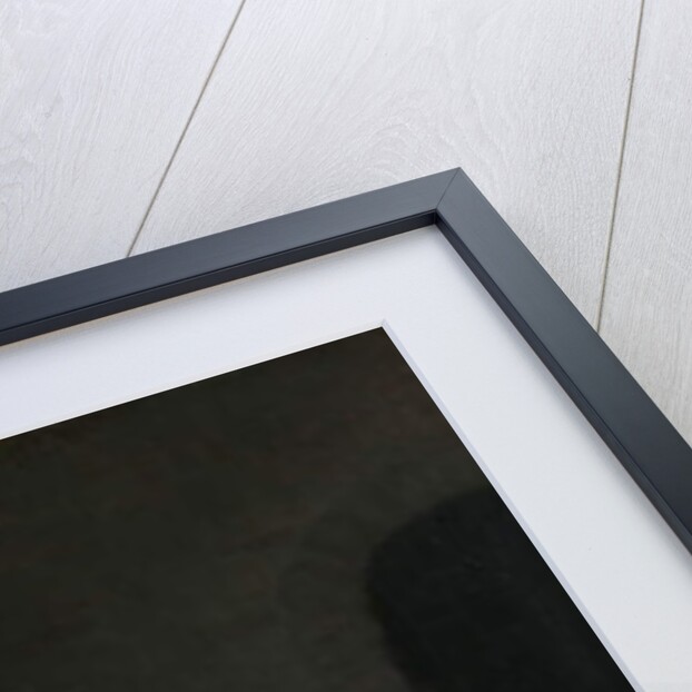 Woman Eating, Known as ‘The Cat’s Breakfast’, c.1661-64 by Gabriel Metsu