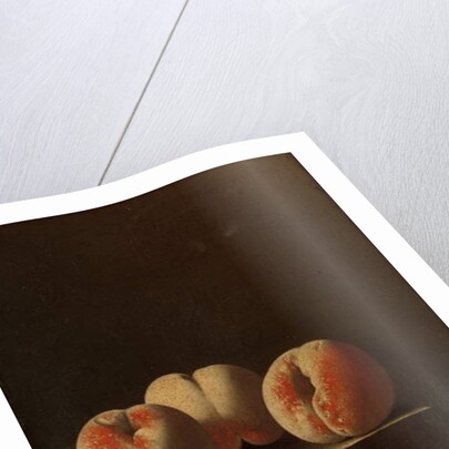 Three Peaches on a Stone Plinth, 1705 by Adrian Coorte