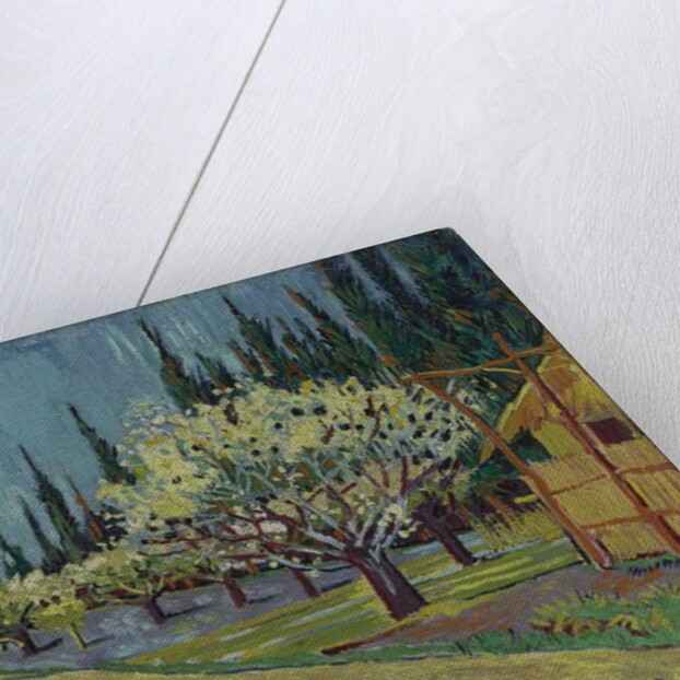 Orchard Bordered by Cypresses, 1888 by Vincent van Gogh