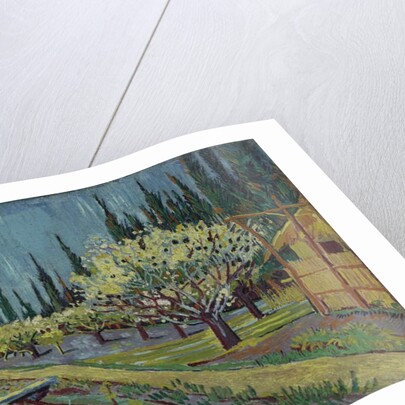 Orchard Bordered by Cypresses, 1888 by Vincent van Gogh