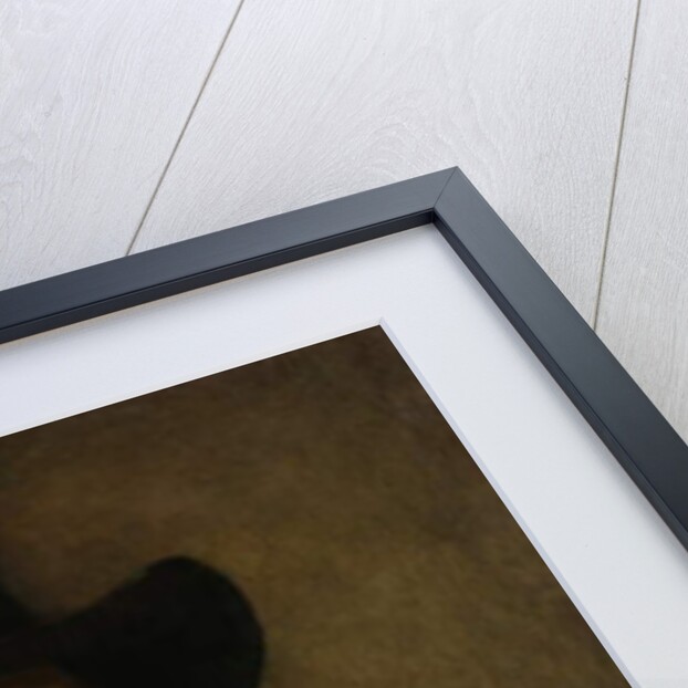 Portrait of a Man, c.1655-60 by Rembrandt Harmensz. van Rijn