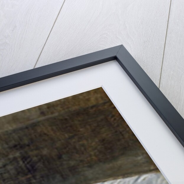 The Pink Dress, c.1870 by Berthe Morisot