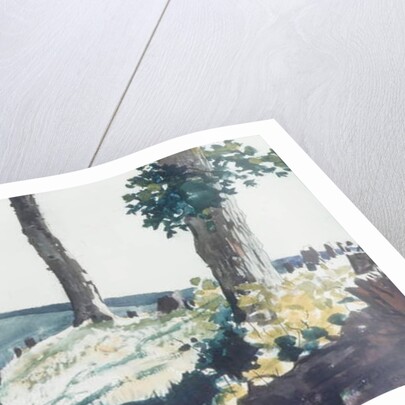 The Pioneer, 1900 by Winslow Homer