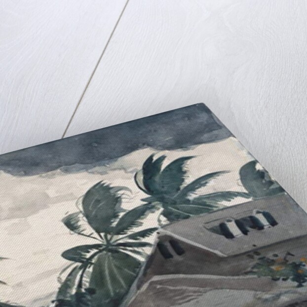 Hurricane, Bahamas, 1898 by Winslow Homer