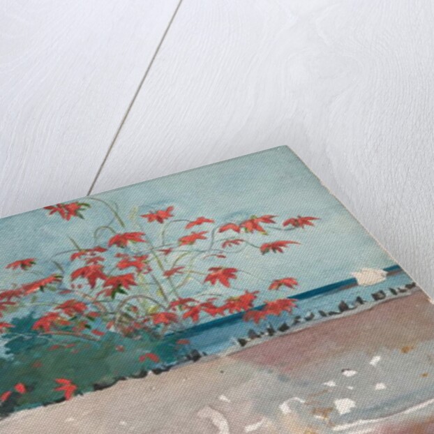 A Wall, Nassau, 1898 by Winslow Homer