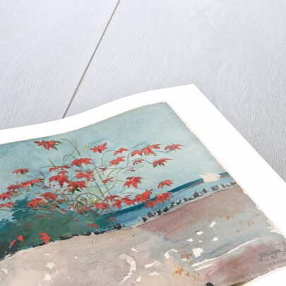 A Wall, Nassau, 1898 by Winslow Homer