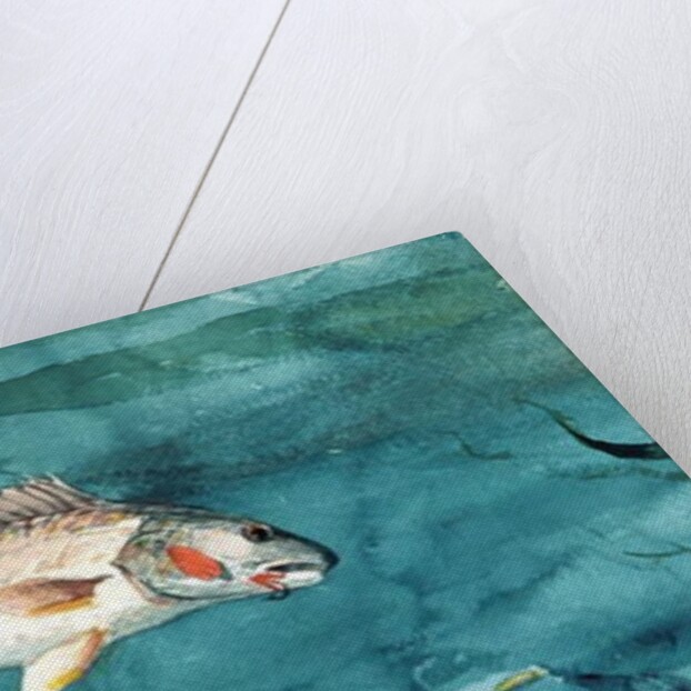 Channel Bass, 1904 by Winslow Homer