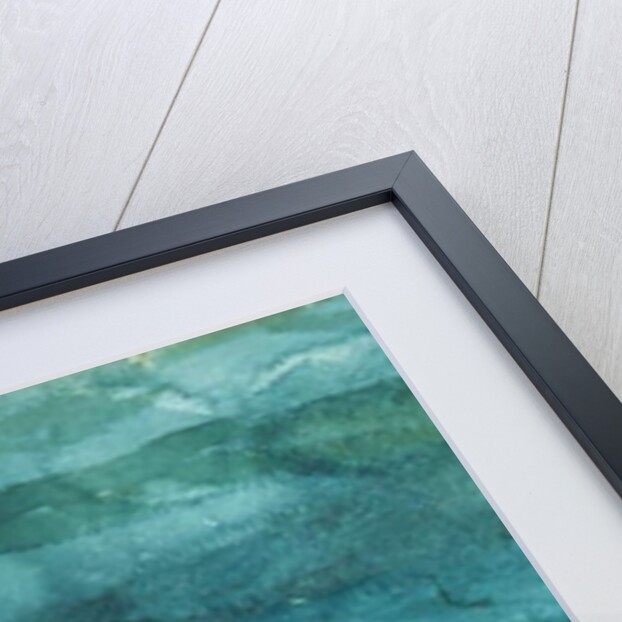 Channel Bass, 1904 by Winslow Homer