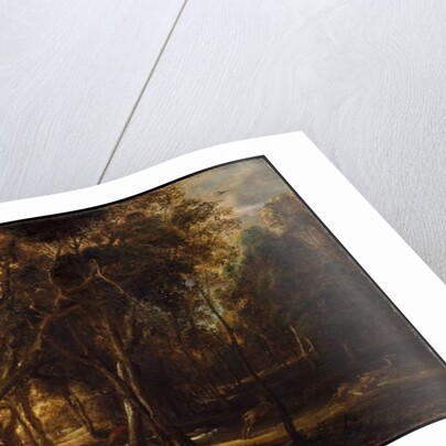 A Forest at Dawn with a Deer Hunt, c.1635 by Peter Paul Rubens