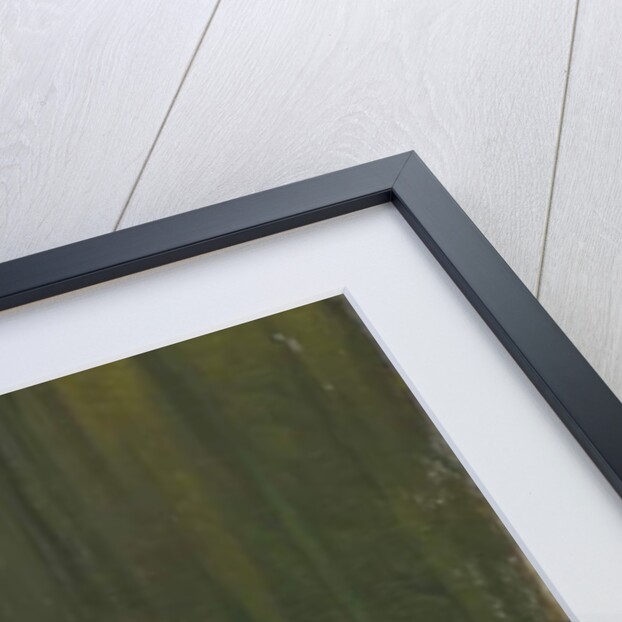 Edvard Grieg and Nina Grieg, 1898 by Peder Severin Kroyer