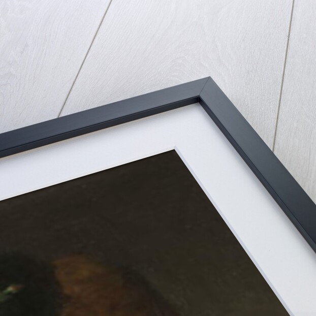 A Parisian Lady by Hugo Salmson