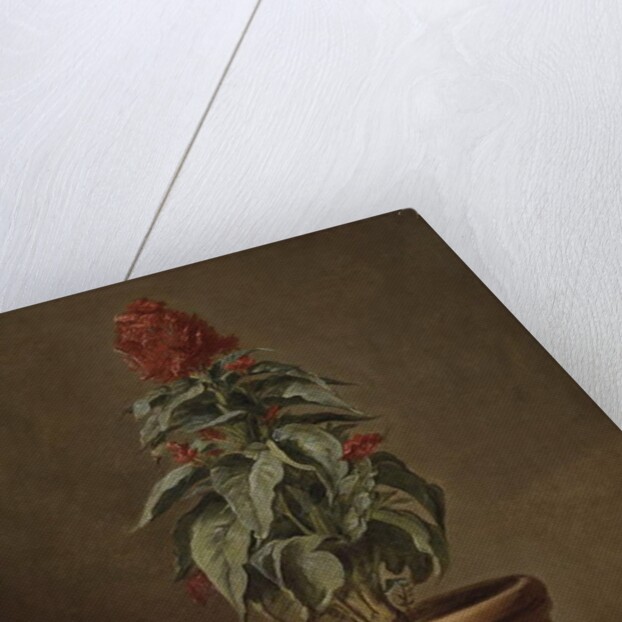 A Potted Plant by Henri Horace Roland de la Porte