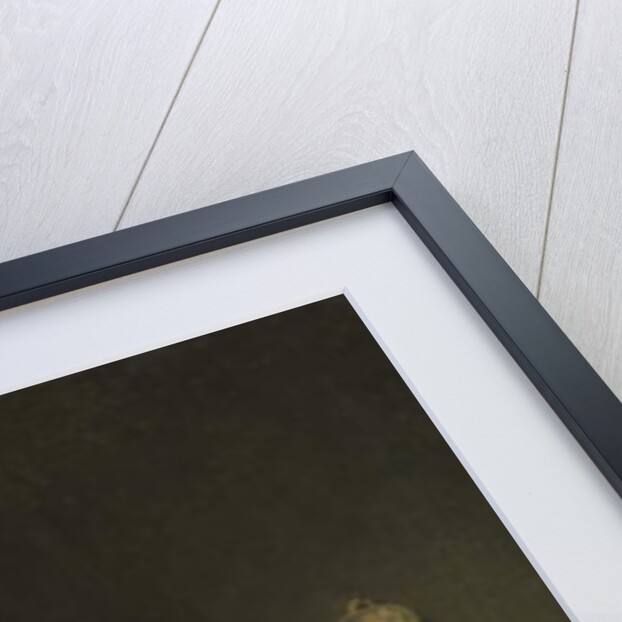 A Woman Polishing Copper Pans by Pehr Hillestrom