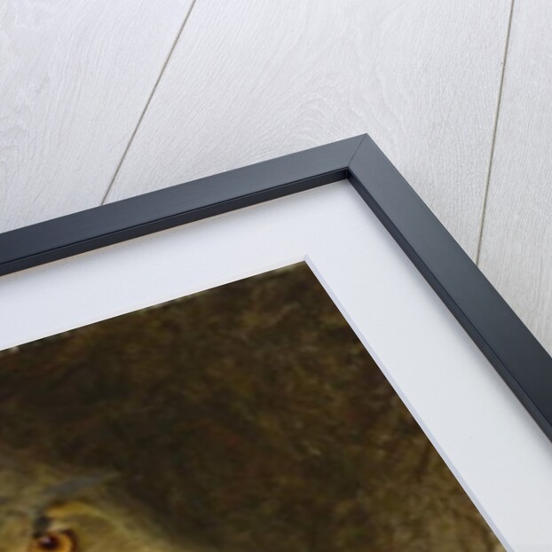 An Eagle Owl, 1905 by Bruno Andreas Liljefors