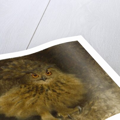 An Eagle Owl, 1905 by Bruno Andreas Liljefors