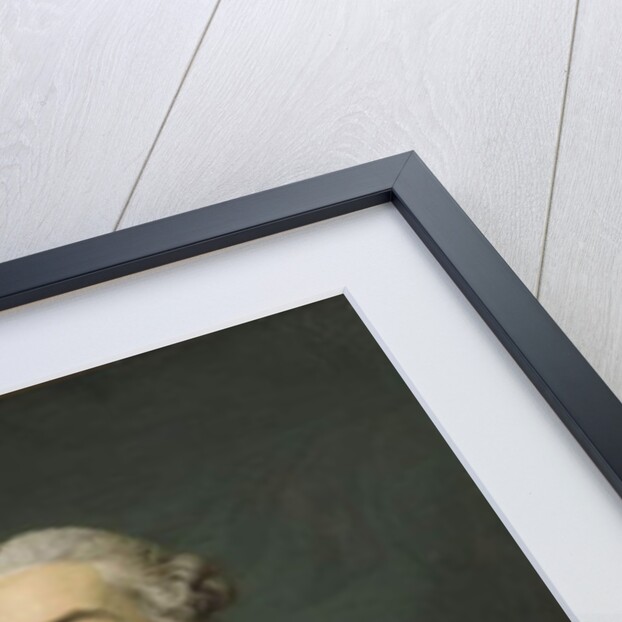 Baron de Neubourg-Cromière, c.1756 by Alexander Roslin