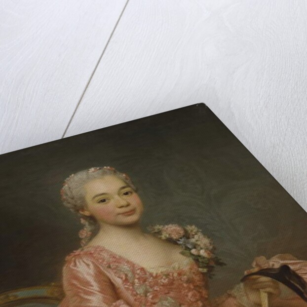 Baroness de Neubourg-Cromière, 1756 by Alexander Roslin