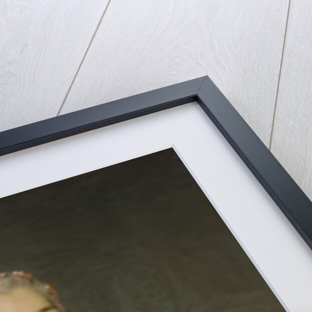 Baroness de Neubourg-Cromière, 1756 by Alexander Roslin