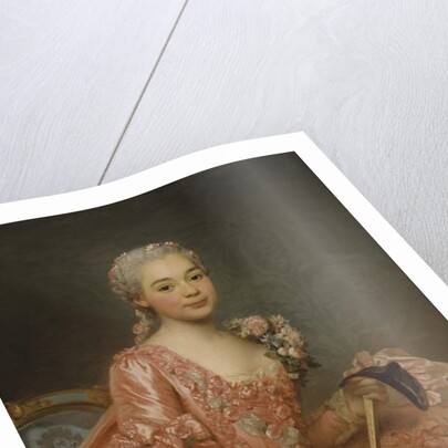 Baroness de Neubourg-Cromière, 1756 by Alexander Roslin