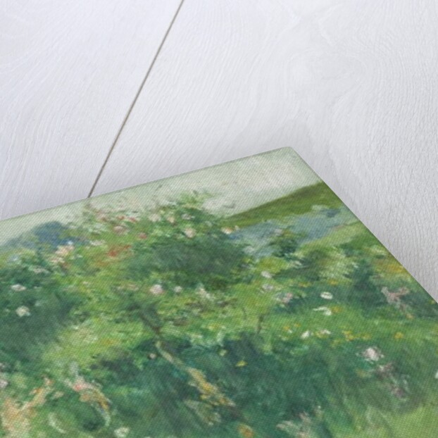 Briar-Rose Bushes Flowering on the Isle of Tjörn by Karl Fredrick Nordstrom