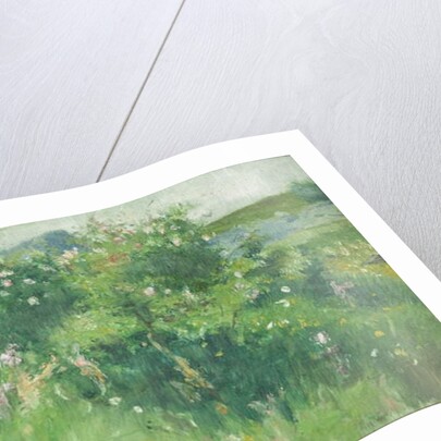 Briar-Rose Bushes Flowering on the Isle of Tjörn by Karl Fredrick Nordstrom