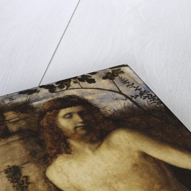 Christ crowned with Thorns, c.1500 by Giovanni Bellini