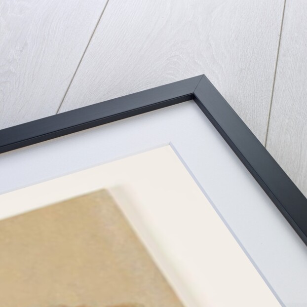 Wall painting fragment from the perisytle of the Villa at Boscoreale, c.50–40 B.C. by Roman Republican Period