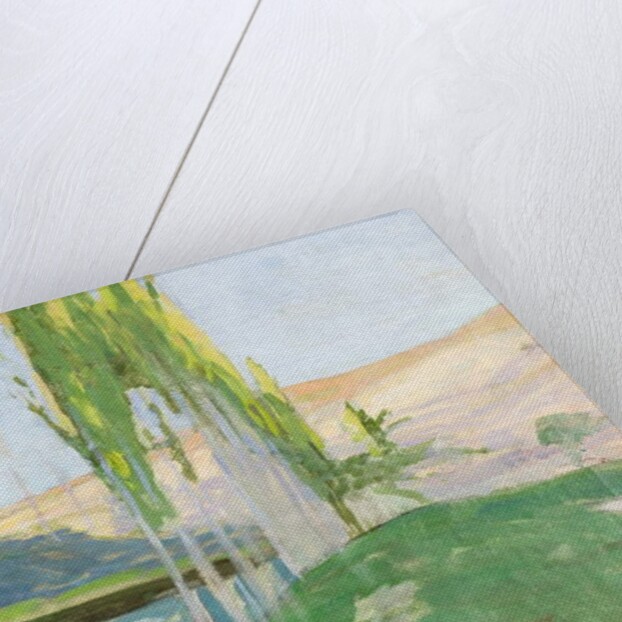 Poplars Growing near a Watercourse by Sven Richard Bergh